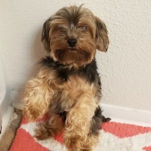 Meet your Posher, Sawanda